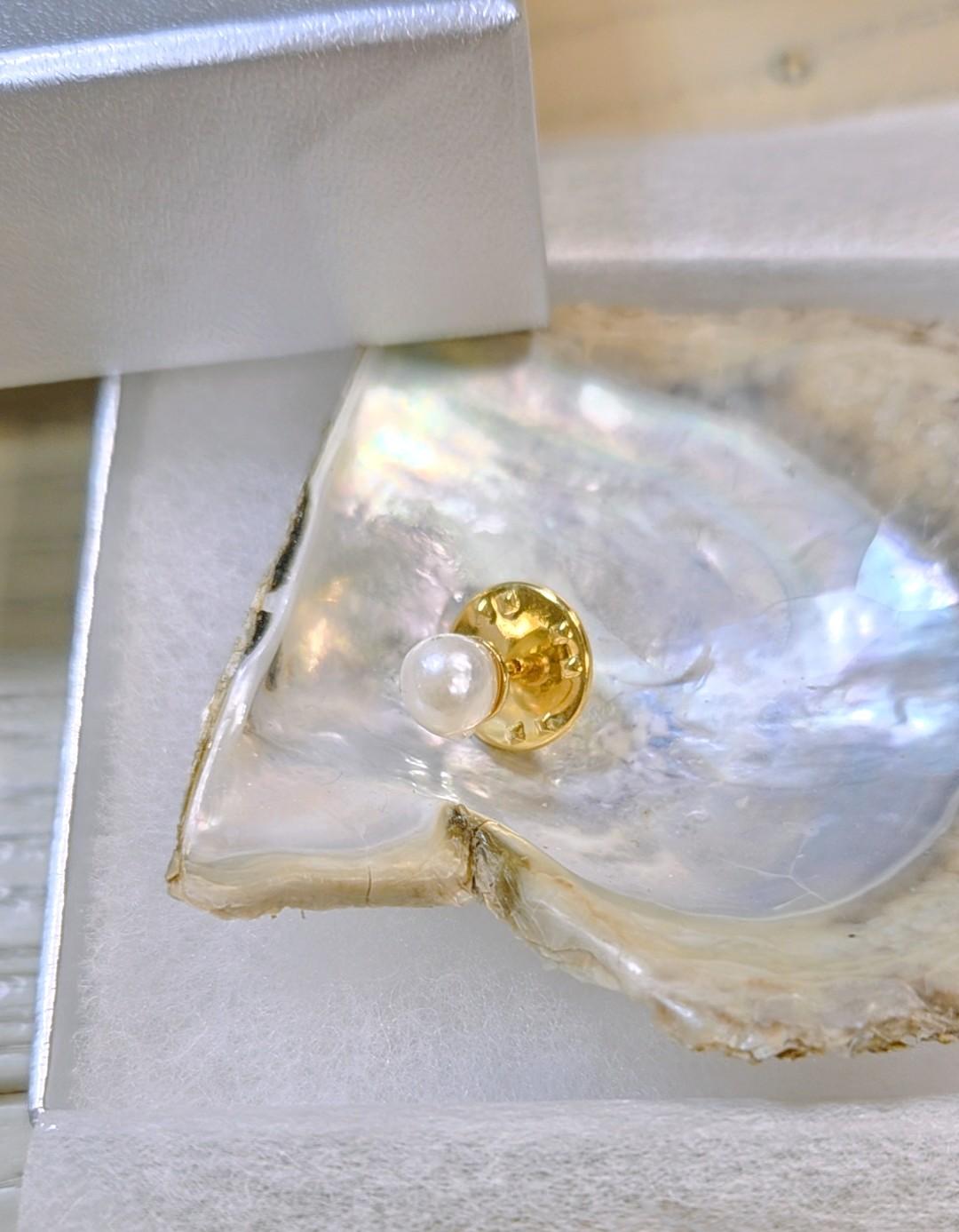 1月12日マッチングイベント＠掛川市・菊川市・森町